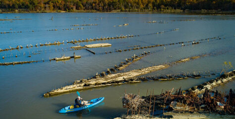 Mallows Bay – The Ghost Fleet and Beyond