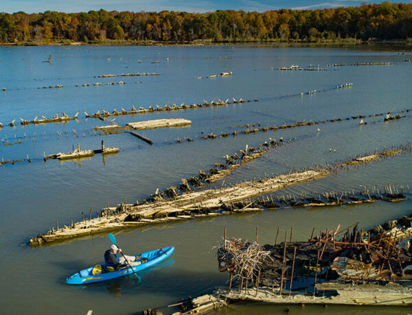 Mallows Bay – The Ghost Fleet and Beyond