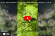 Human Remains