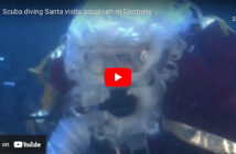 Scuba Santas