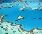 Experience the Wonders of Australia’s Coral Sea