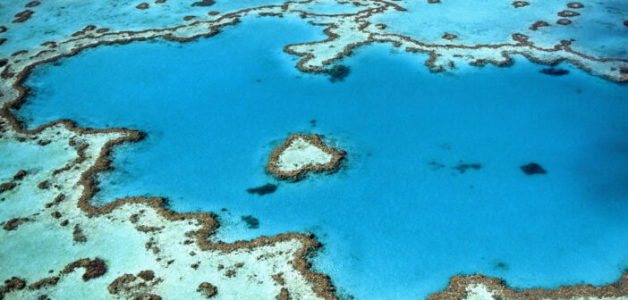Experience the Wonders of Australia’s Coral Sea