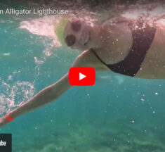 Swim for the Alligator Lighthouse