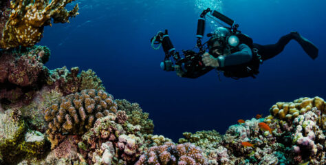Join A Fantastic Underwater Photography Workshop in the Red Sea This March
