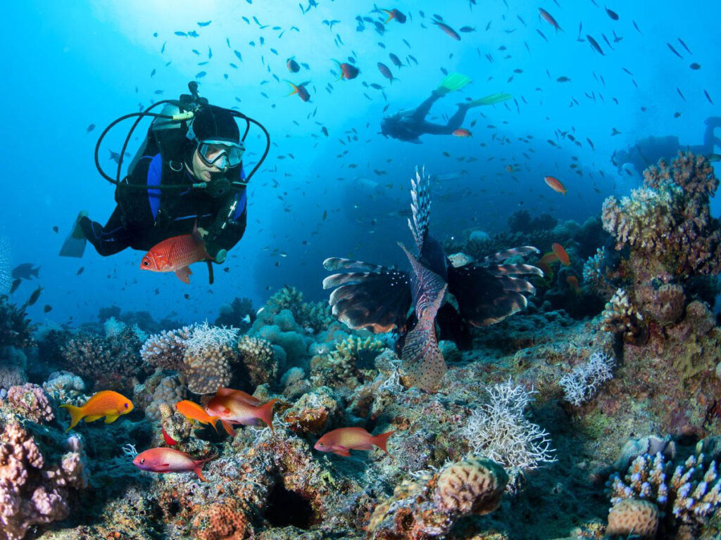 Diver Underwater