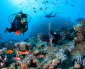What Are the Safest Weather Conditions for Diving?