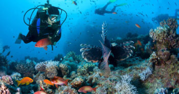 What Are the Safest Weather Conditions for Diving?
