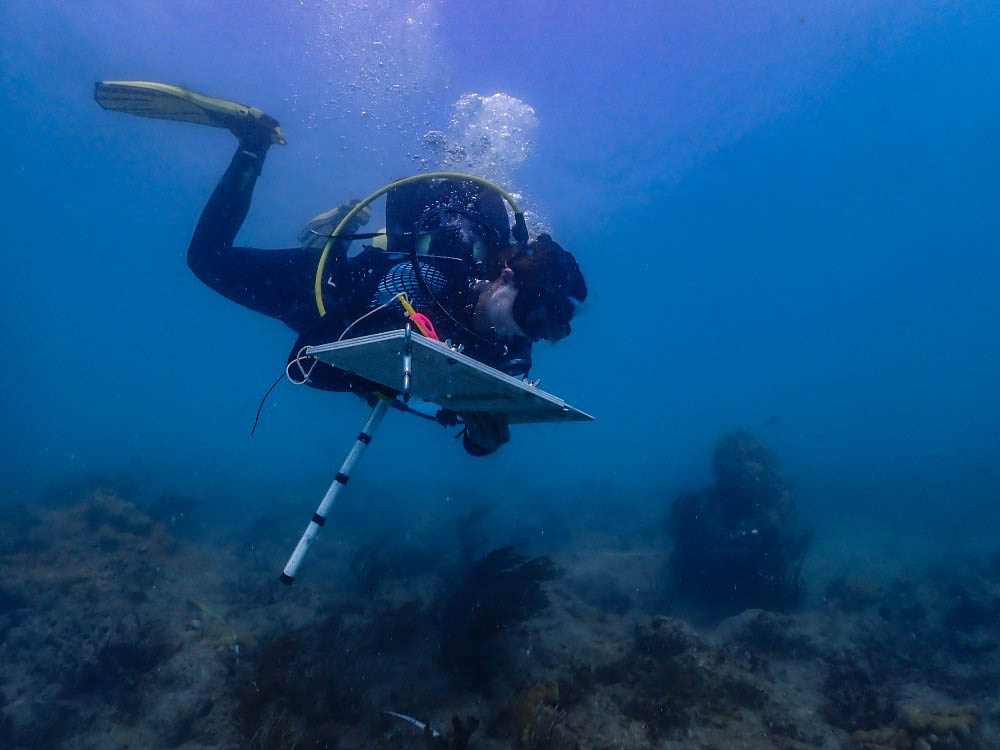 Florida Keys Marine Sanctuary