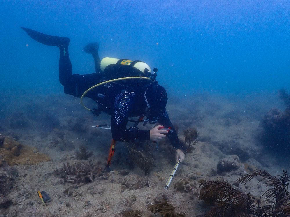 Florida Keys Marine Sanctuary