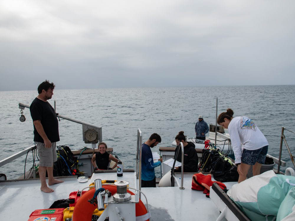 Florida Keys Marine Sanctuary