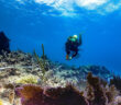 Florida Keys Marine Sanctuary