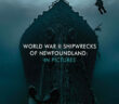 Newfoundland Shipwrecks