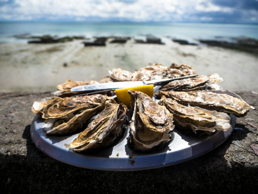 Oysters