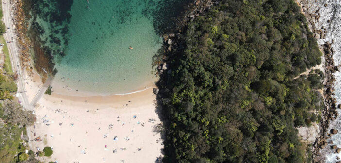 Scuba Diver Rescued in Shelly Beach Incident