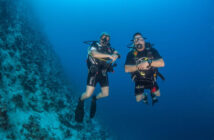 Dive Point Red Sea