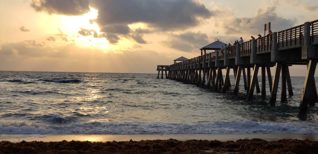 Juno Beach
