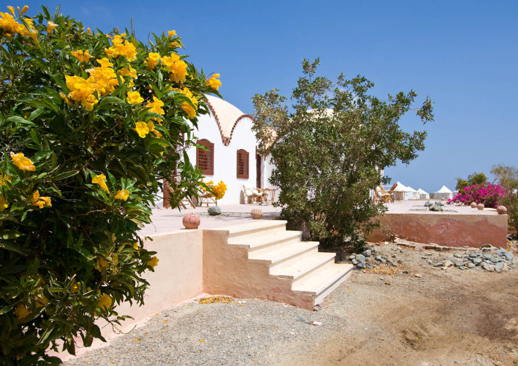 Marsa Shagra, Red Sea, Egypt