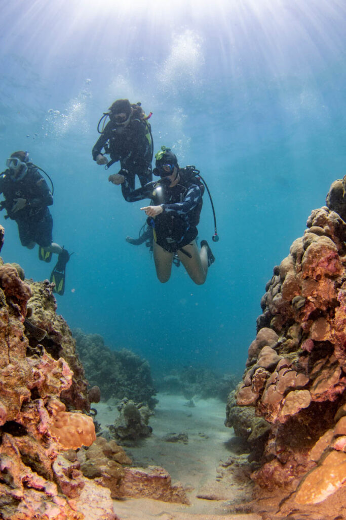 Nautilus Ocean Discovery Week