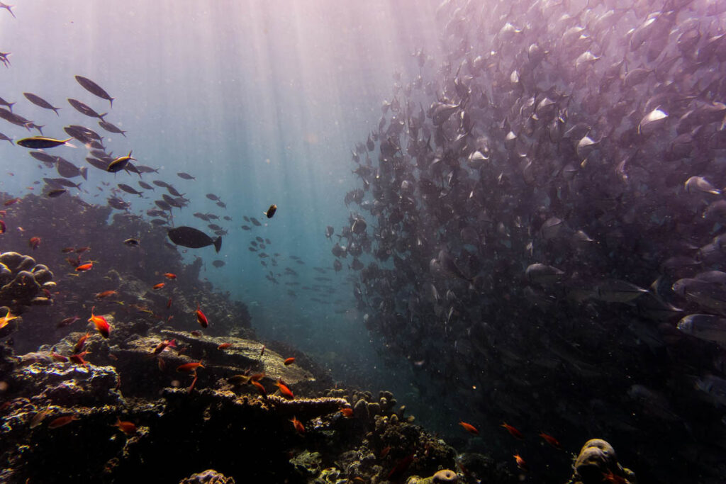 Sipadan, Malaysia