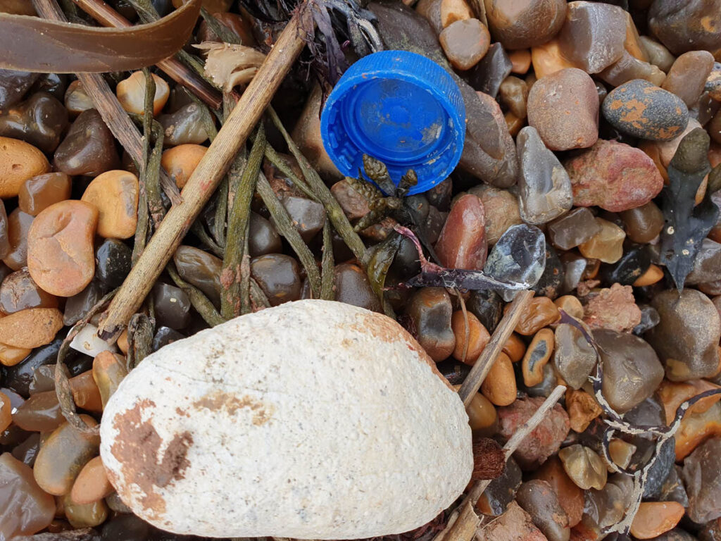 Beach Cleaning