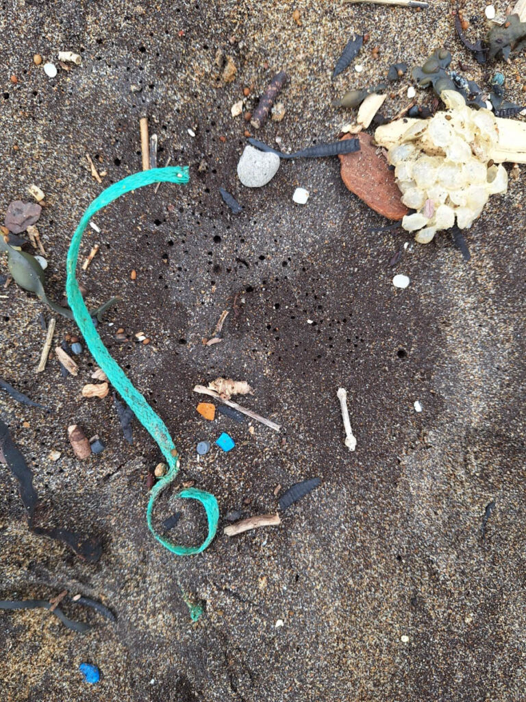 Beach Cleaning