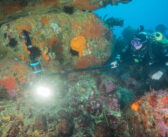 Advances in Photogrammetry Reduce Cost of Underwater 3D Modelling