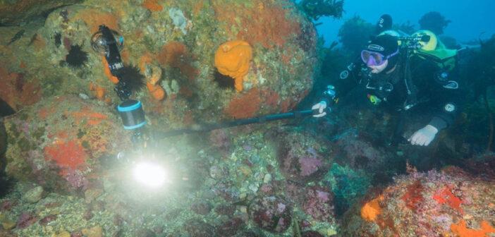 Advances in Photogrammetry Reduce Cost of Underwater 3D Modelling