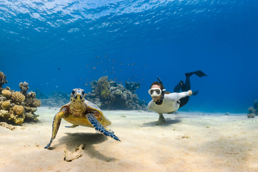 Scuba Diving Saudi Arabia