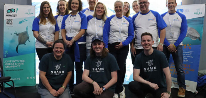 Shark Trust Welcomes Diverse Travel as Corporate Patron