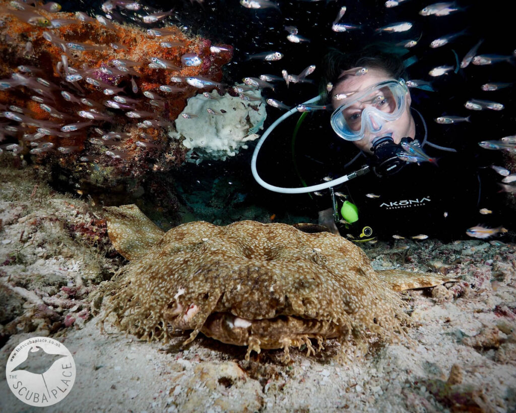 The Scuba Place - Raja Ampat Trip Report