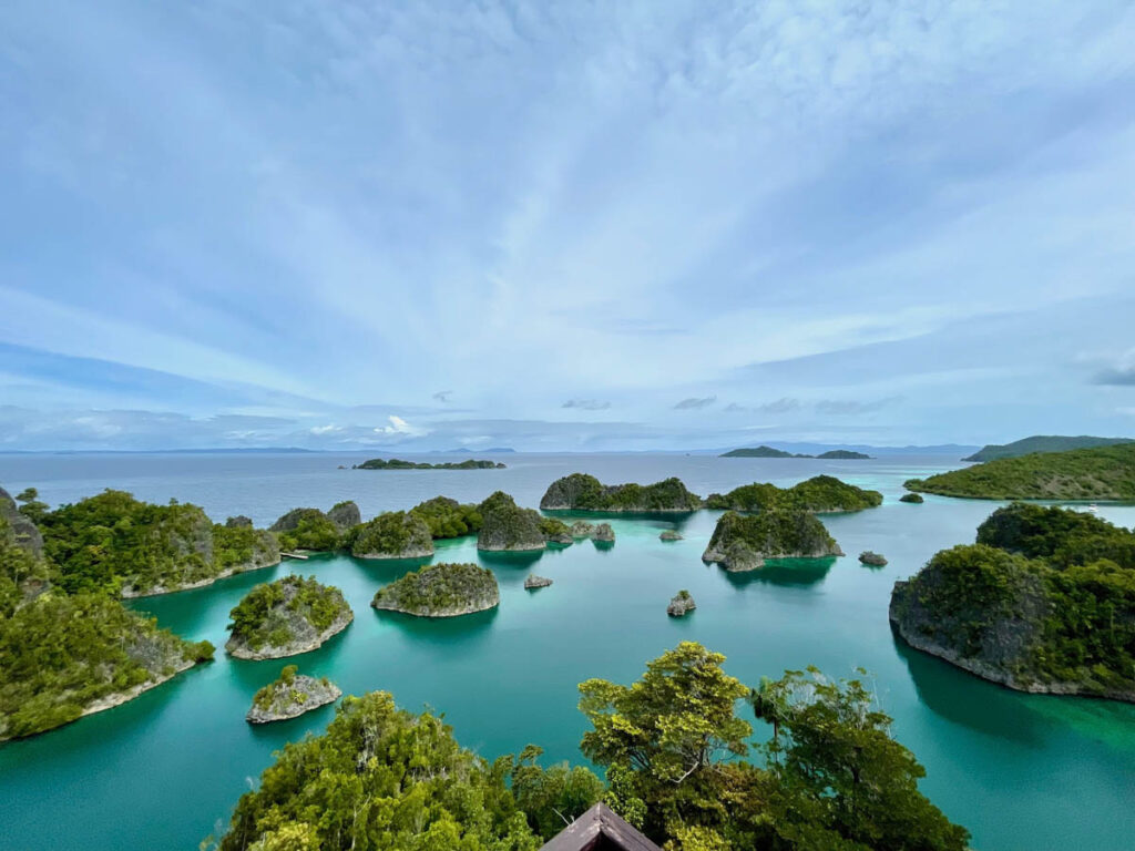 The Scuba Place - Raja Ampat Trip Report