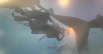 Whale Shark Incident
