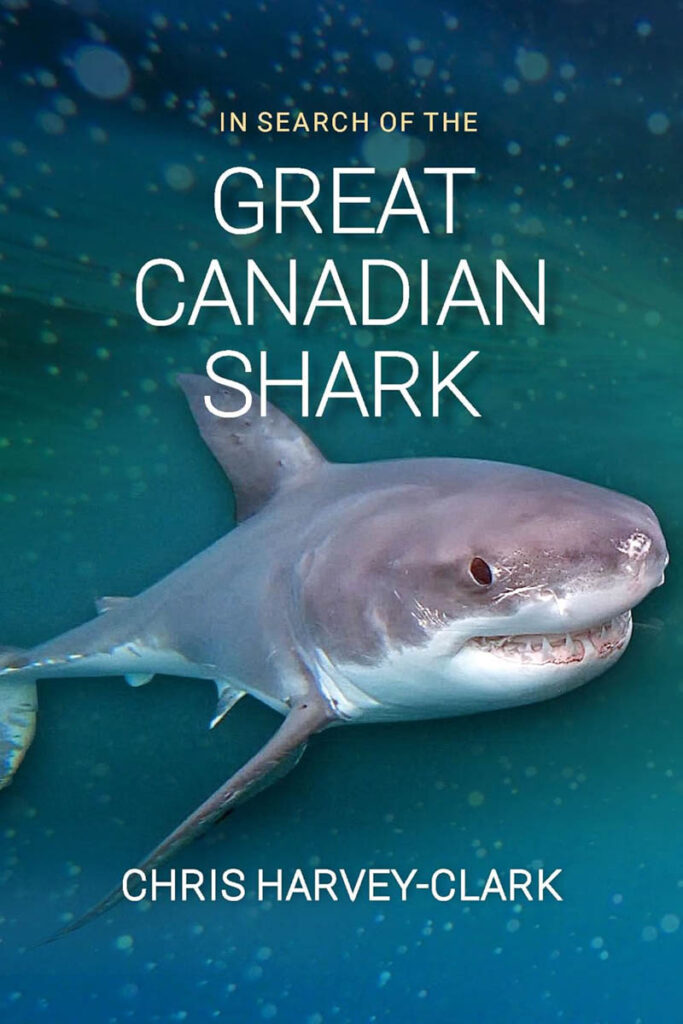 Great Canadian Shark