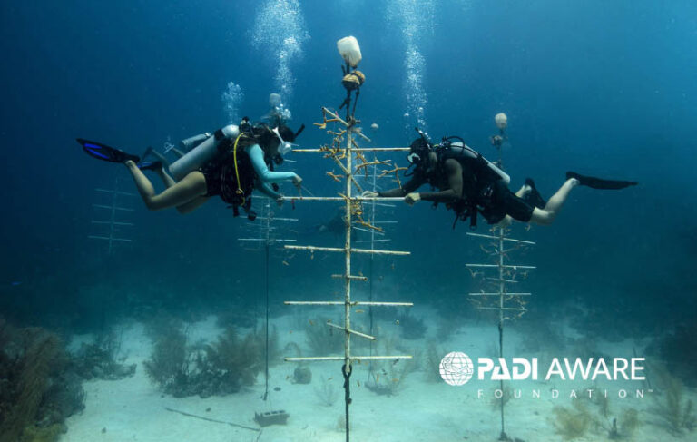 PADI Aware