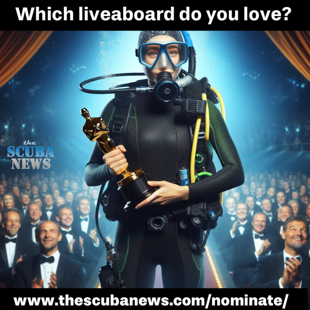 Best Liveaboard