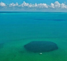 Mexico’s Taam Ja’ Blue Hole: A Deep Dive into the World’s Deepest Underwater Sinkhole
