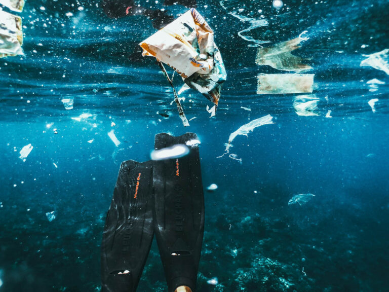 Underwater Waste
