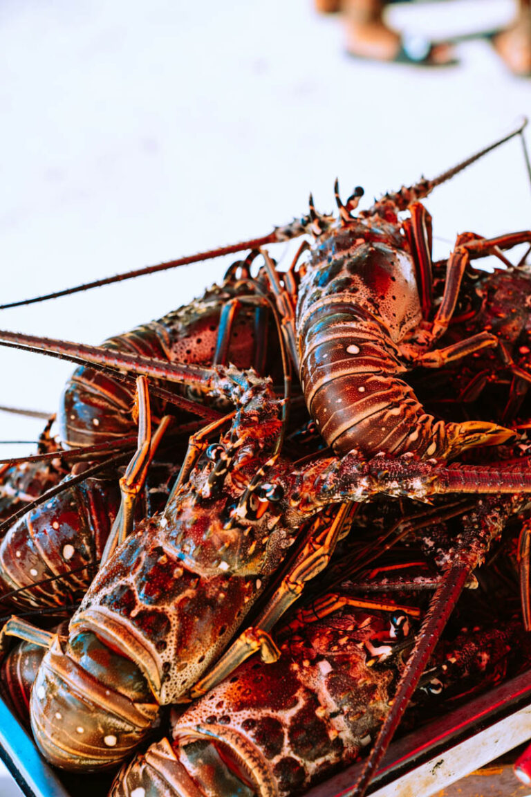 Lobsters