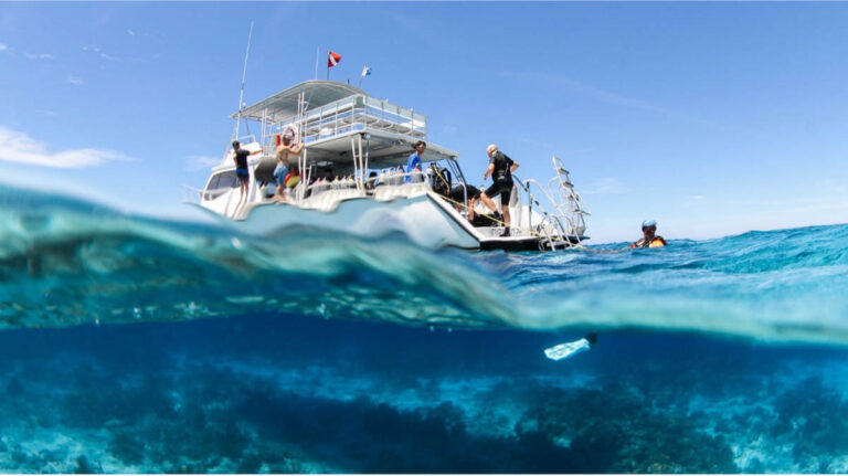 Dive Curacao
