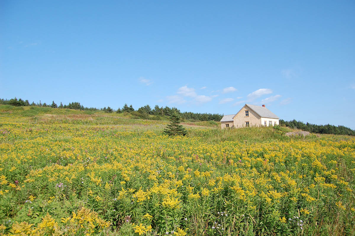 Bonaventure Island