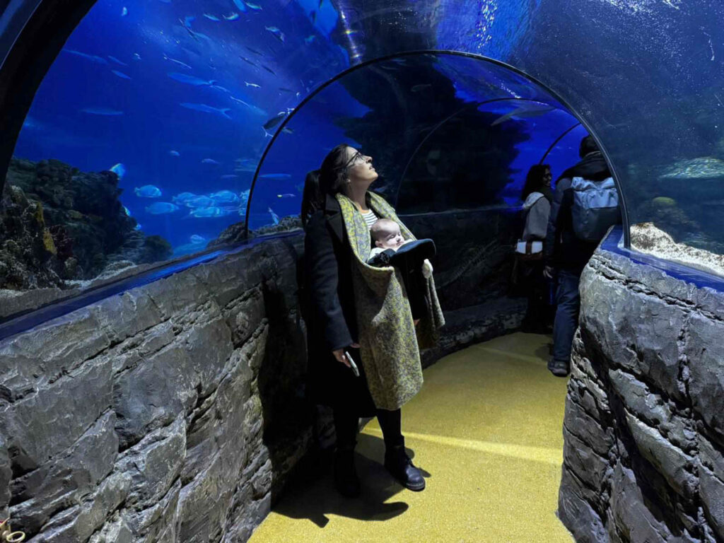 London Aquarium