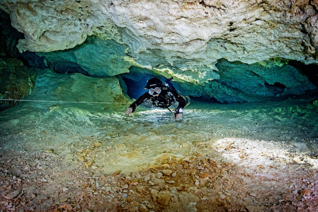 Help the Ocean