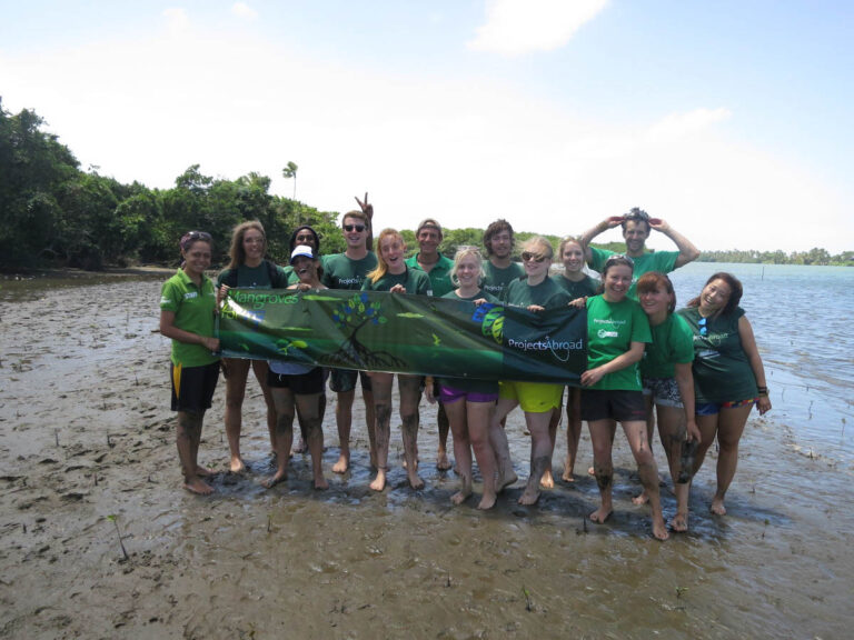 Help the Ocean