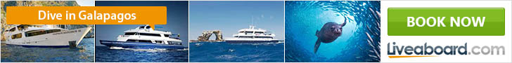 Liveaboard Banner - Galapagos