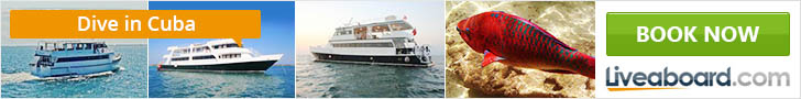 Liveaboard.com Banner Cuba