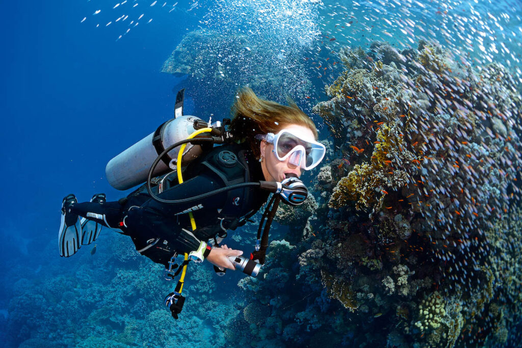 Career in Diving