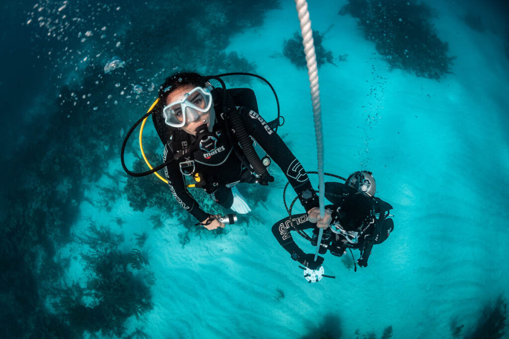 Career in Diving