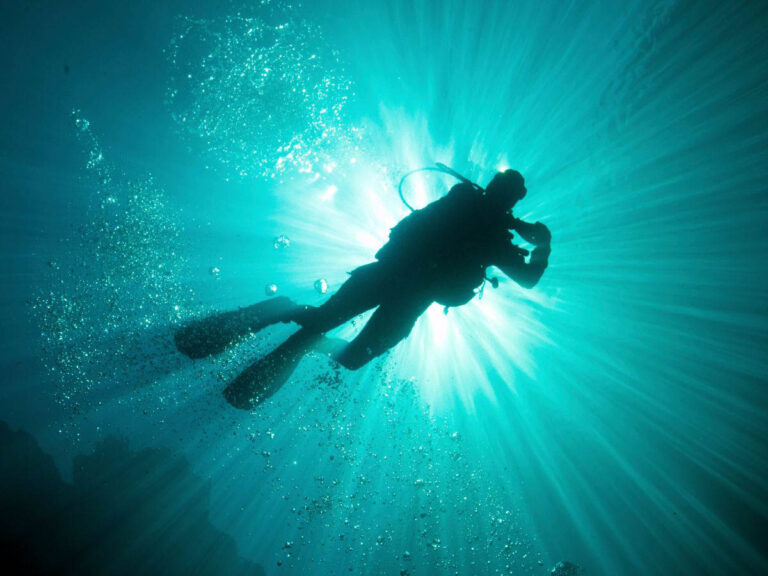 Diver Underwater