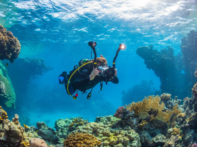 Diving Photographer