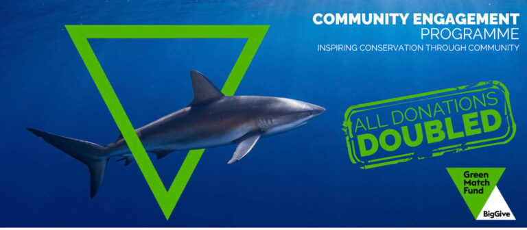 Shark Trust Donations